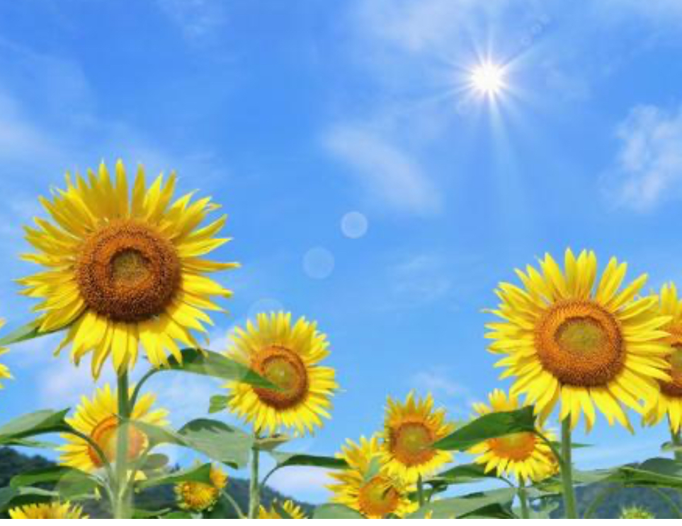 辛い気持ち乗り越え方:心のケア実践ガイド